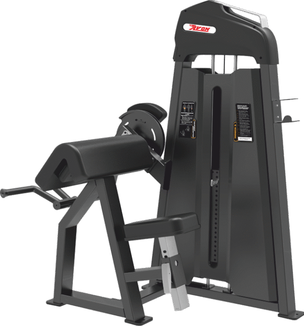 BICEPS CURL